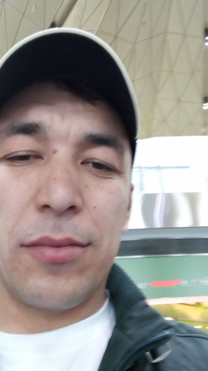  43677441  , 32 ,    