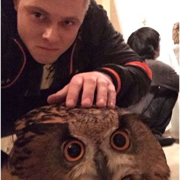 ���������� �����-���������, ���� ������� ���, 28 ���, ������������ ��� ������, ����� � ���������, c�������� ���������