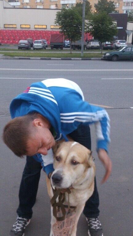 ���� 37936061 ������� �������, 41 ���, ���� ���������� � ������