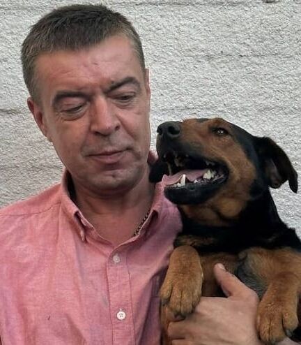  53342051  , 45 ,    --