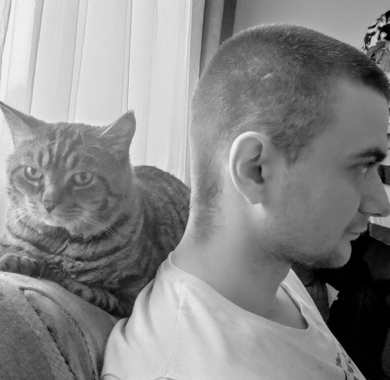 ���������� ����, ���� ������� ���������, 36 ���, ������������ ��� ����� � ���������, c�������� ���������