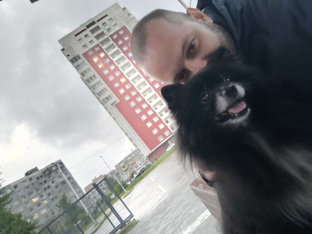 ���� 54957341 ������� ���, 31 ���, ���� ���������� � ������������