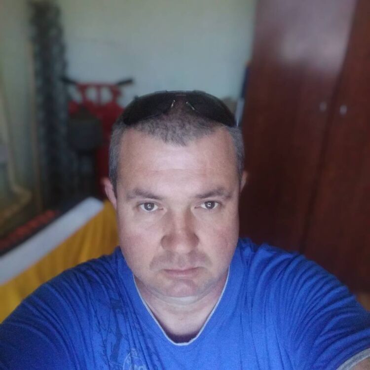  31626181  , 55 ,    