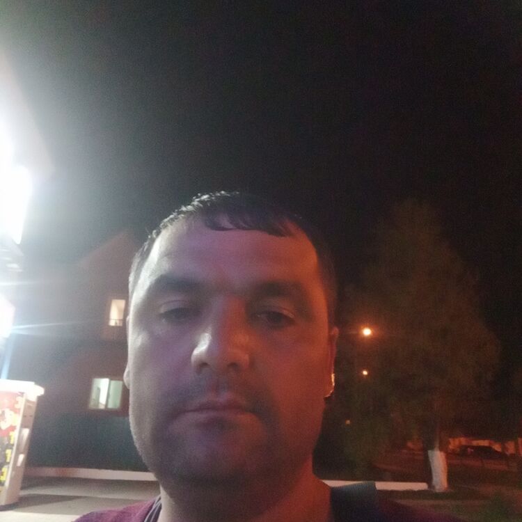 ���� 41734271 ������� ������, 38 ���, ���� ���������� � ���������