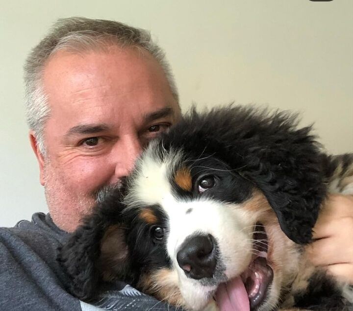 ���� 45778961 ������� ���� ����, 62 ����, ���� ���������� � ������