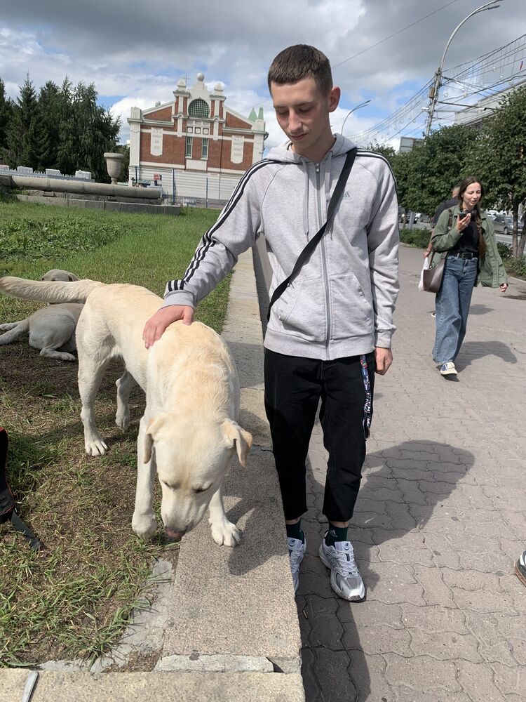 ���������� �����������, ���� ����� ����, 20 ���, ������������ ��� ����� � ���������, ���������