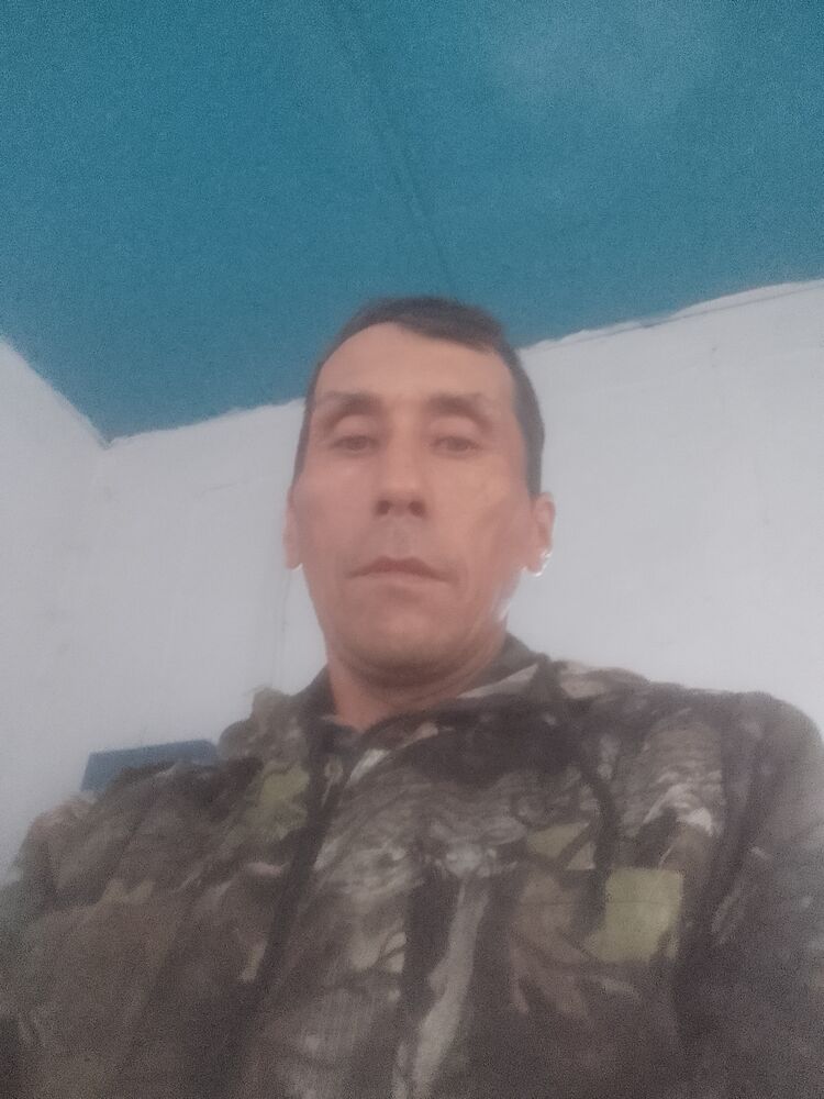  45300931  , 46 ,    
