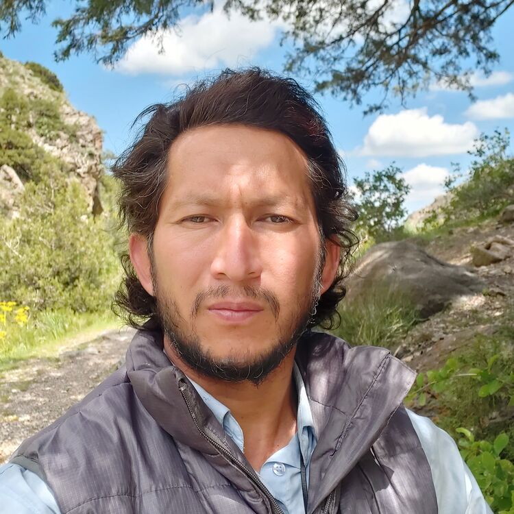 ���� 29041171 ������� �����, 46 ���, ���� ���������� � ������