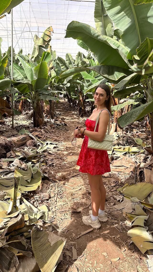 ���� 53468541 ������� ������, 24 ����, ���� ���������� � ������