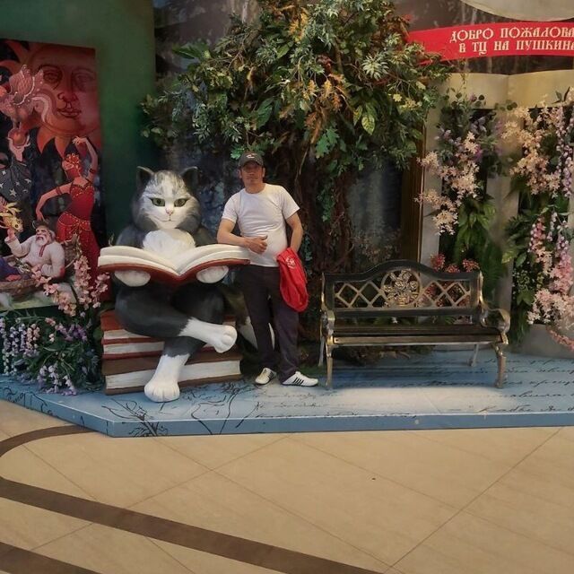 ���� 42302931 ������� ���, 42 ����, ���� ���������� � ������