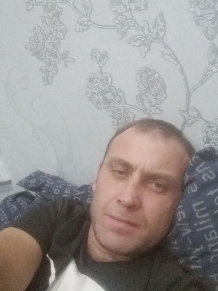  47195021  , 44 ,    