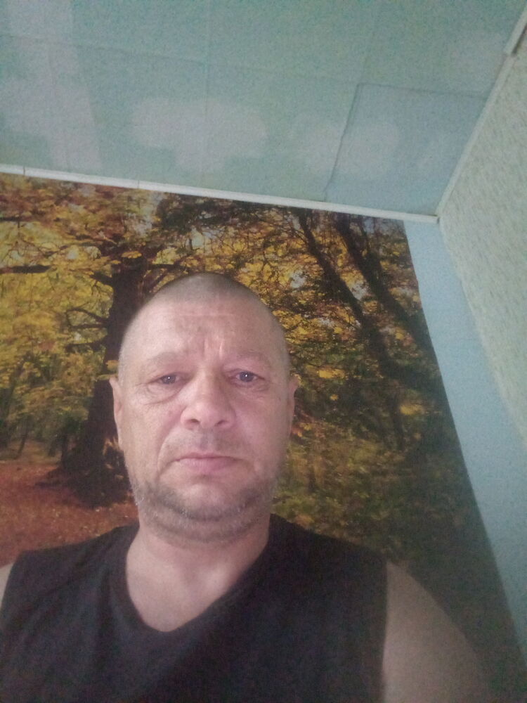  23195091  , 50 ,    