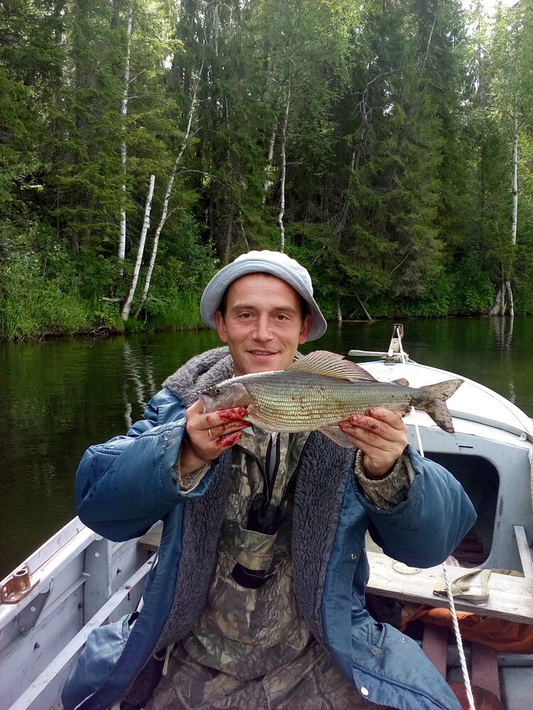 ���� 11033141 ������� �����, 37 ���, ���� ���������� � ����