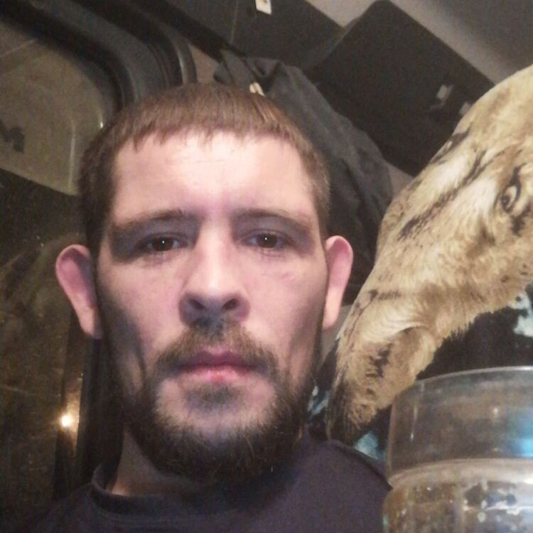  32314381  , 38 ,    
