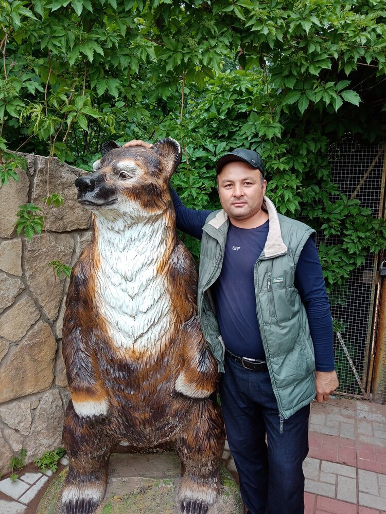 ���� 23139741 ������� �������, 41 ���, ���� ���������� � �����������