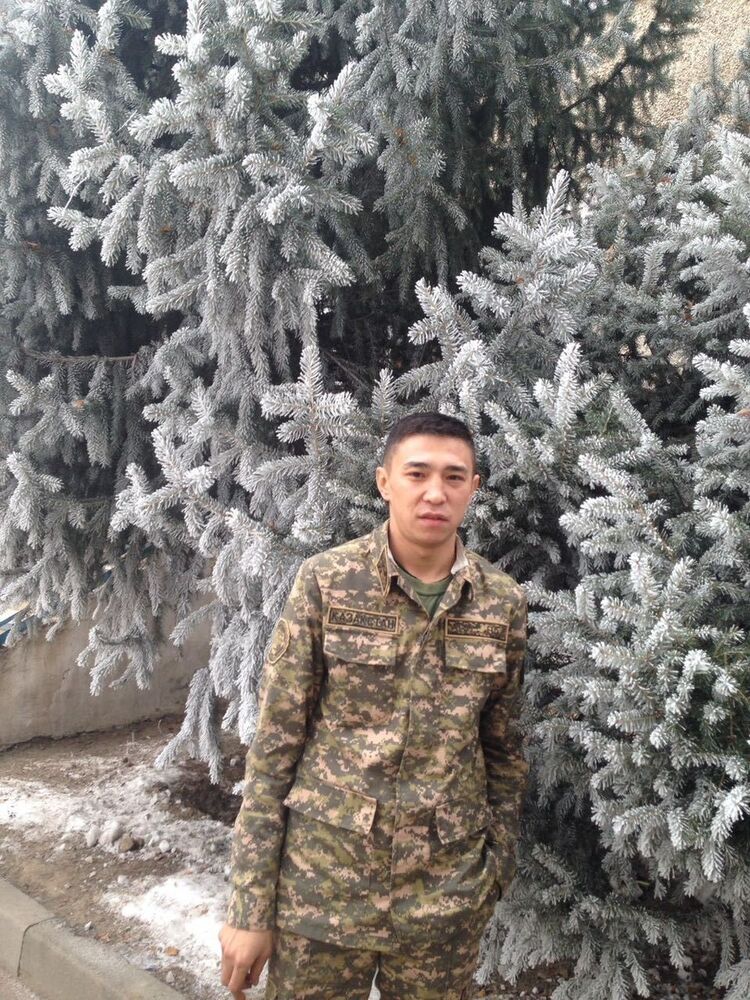 ���������� ������, ���� ������� �������, 37 ���, ������������ ��� ������, ����� � ���������, c�������� ���������, ���������