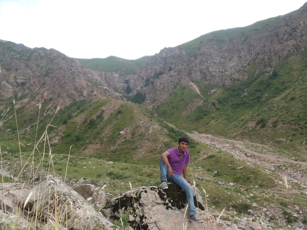  ,   Lovelas, 31 ,   