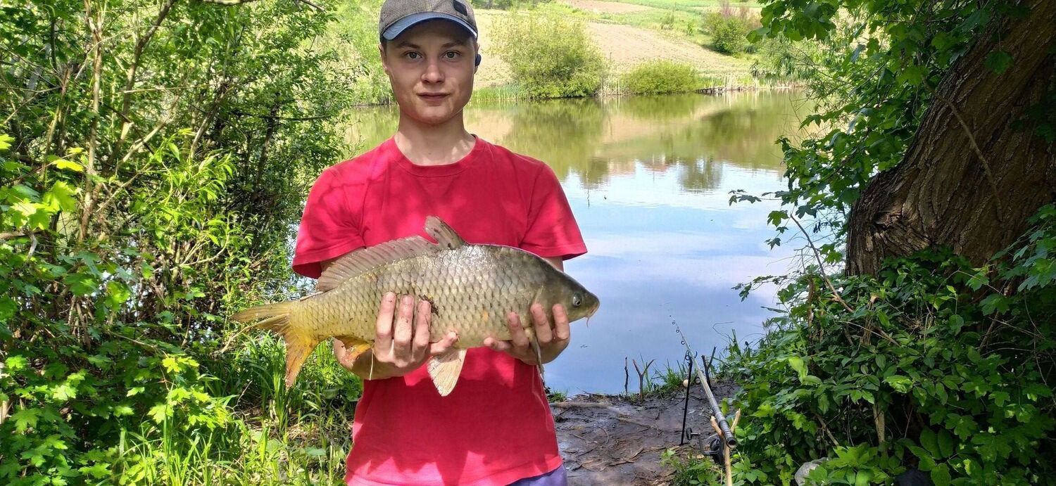 ���������� ����, ���� ������� ����, 29 ���, ������������ ��� ������, ����� � ���������