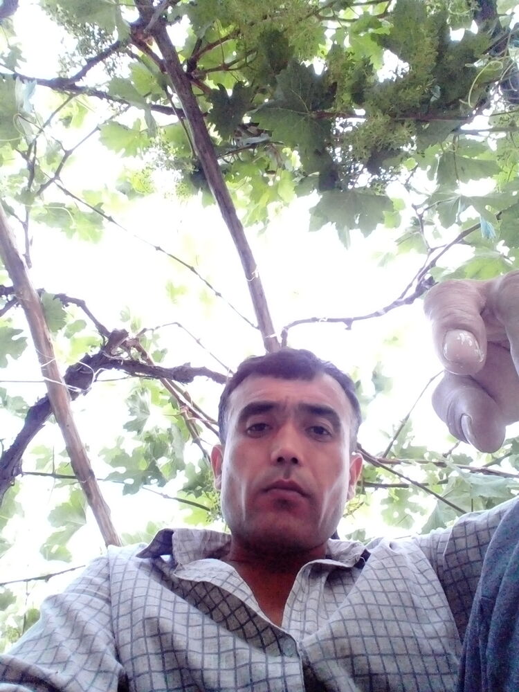  26603901  , 42 ,    