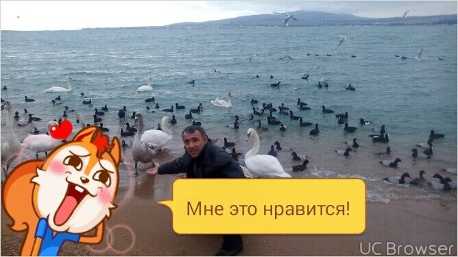 ���� 9294591 ������� ��������, 52 ����, ���� ���������� � ����������