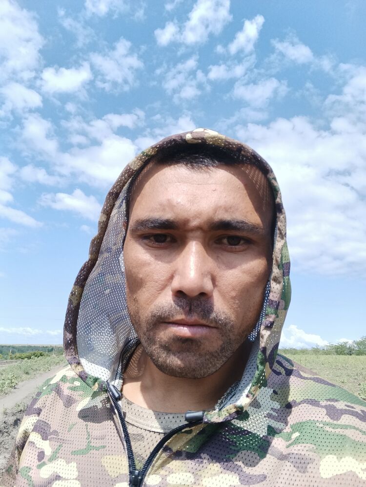  53034931  , 33 ,    