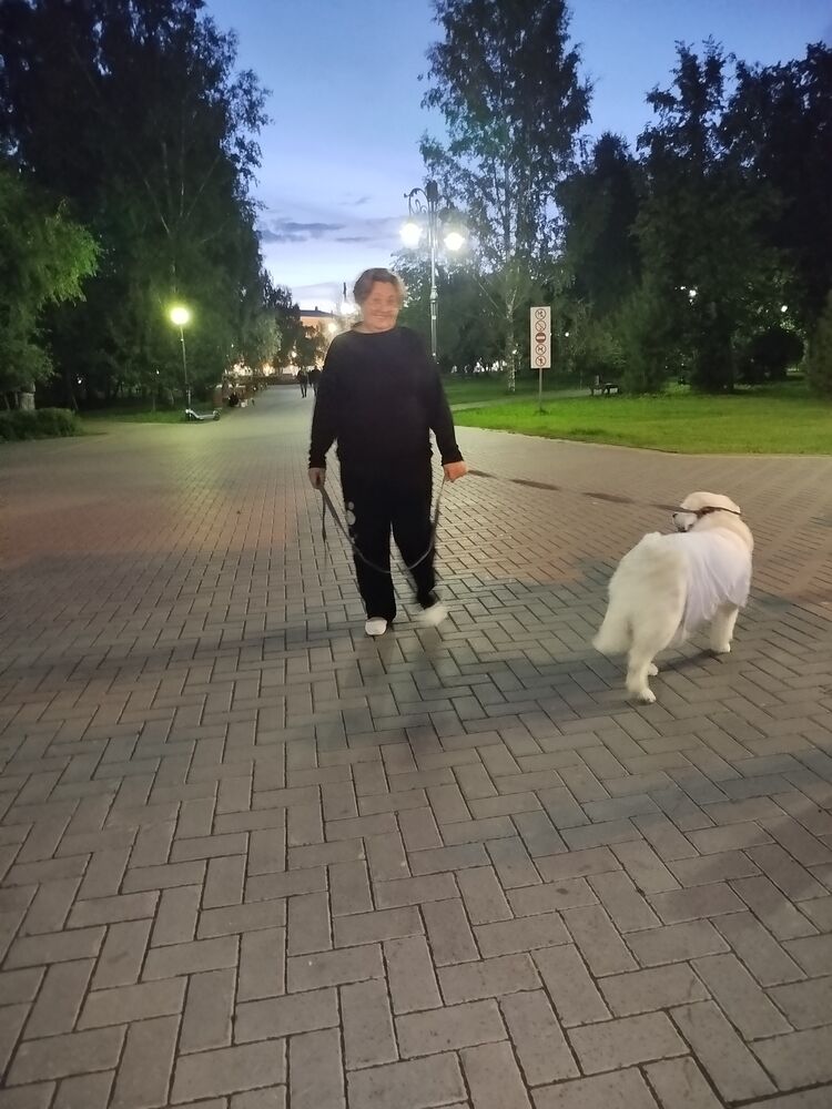 ���� 55601741 ������� Lga, 60 ���, ���� ���������� � ������