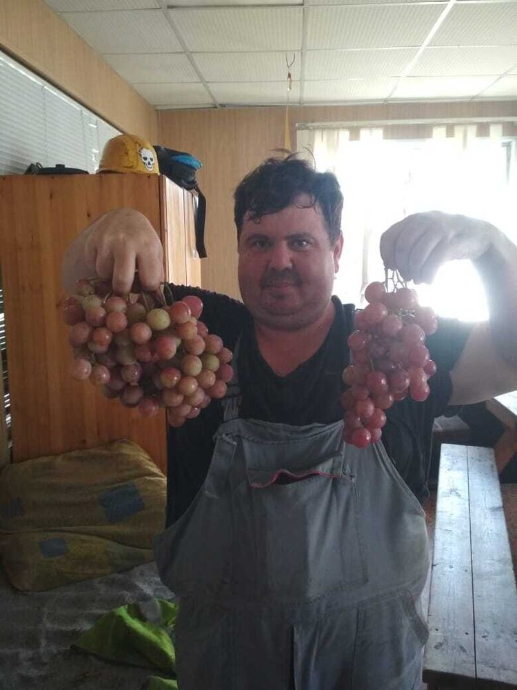 ���� 29734721 ������� �������, 37 ���, ���� ���������� � �������������