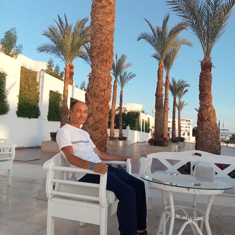 ���� 55319661 ������� Askar, 56 ���, ���� ���������� � ��������