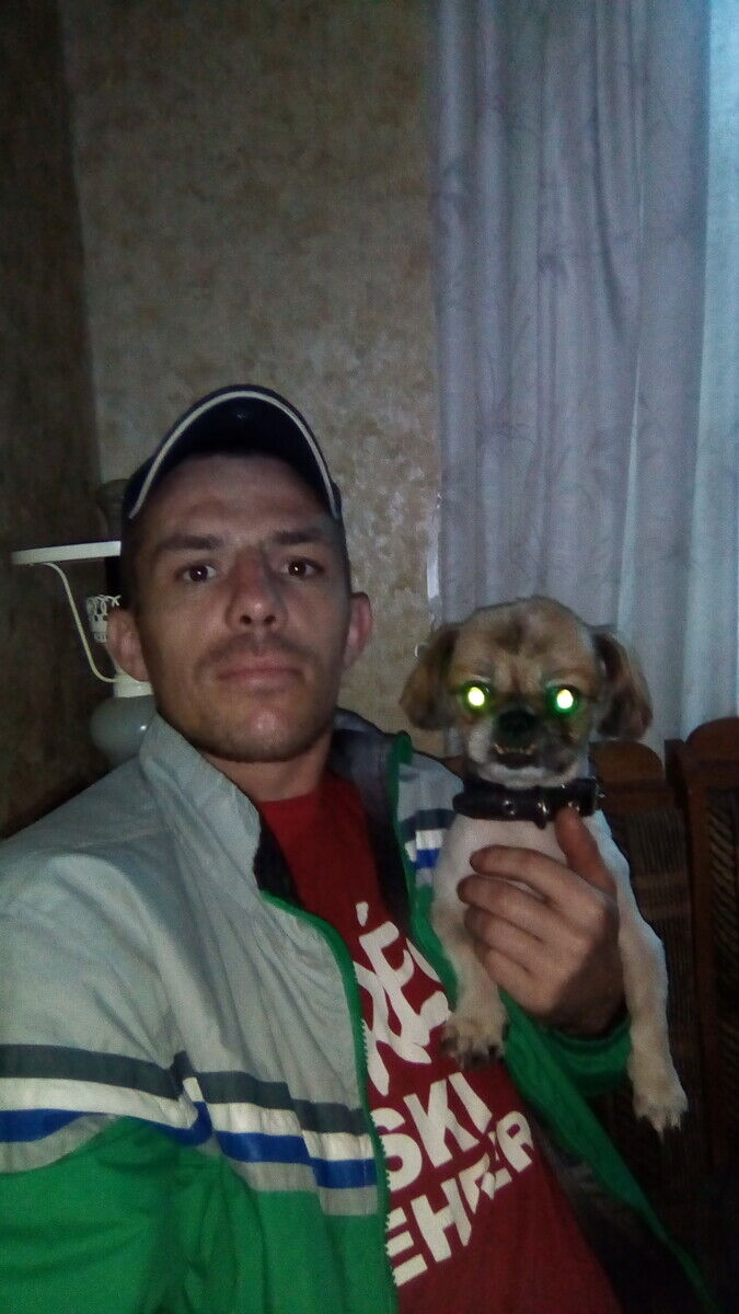 ���� 22086381 ������� ������, 38 ���, ���� ���������� � ��������