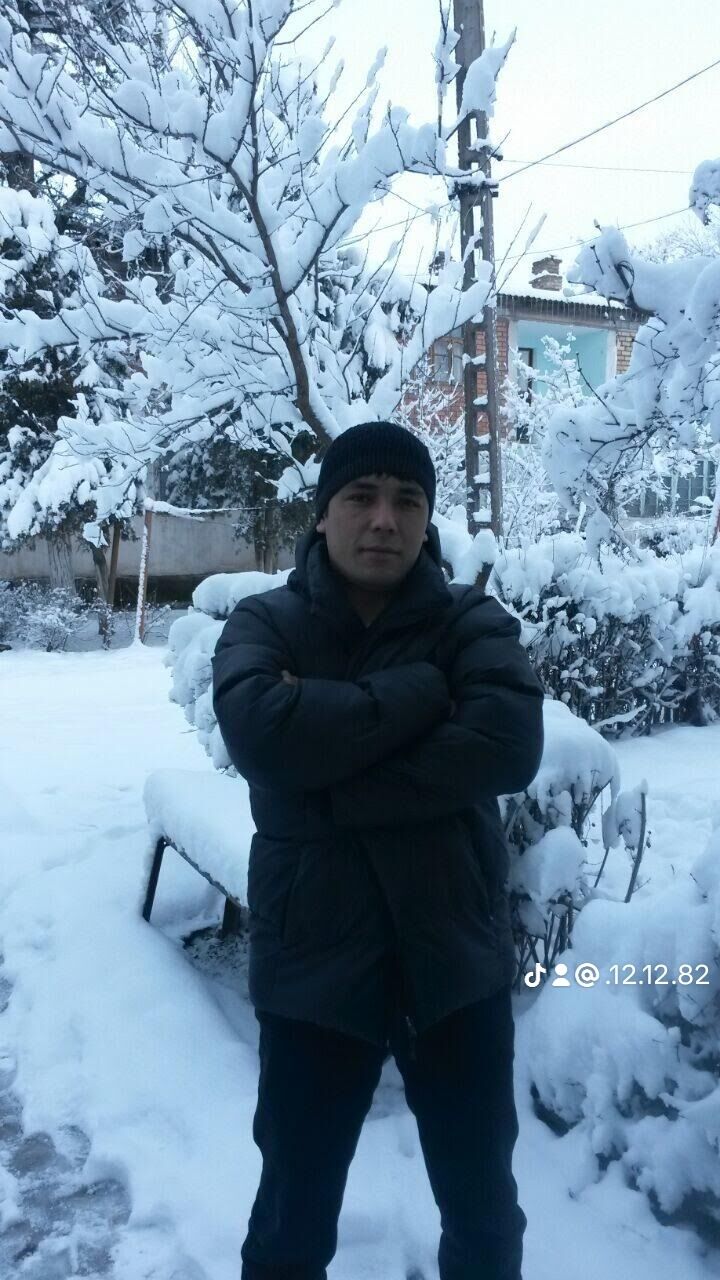 ���� 43855731 ������� ������, 43 ����, ���� ���������� � ������