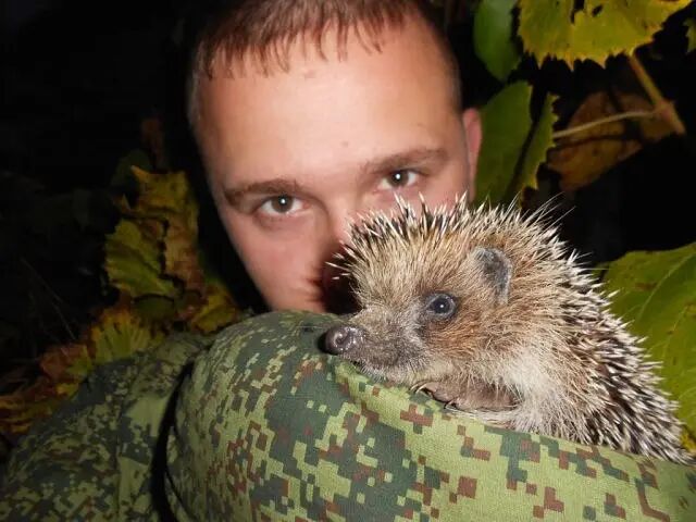 ���������� ��������, ���� ������� ������, 39 ���, ������������ ��� ������, ����� � ���������, c�������� ���������