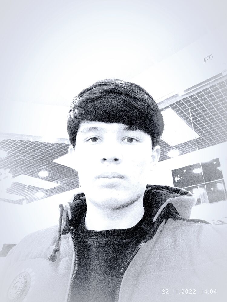 ���������� �����-���������, ���� ����� ���������, 24 ����, ������������ ��� ������, ����� � ���������, ���������