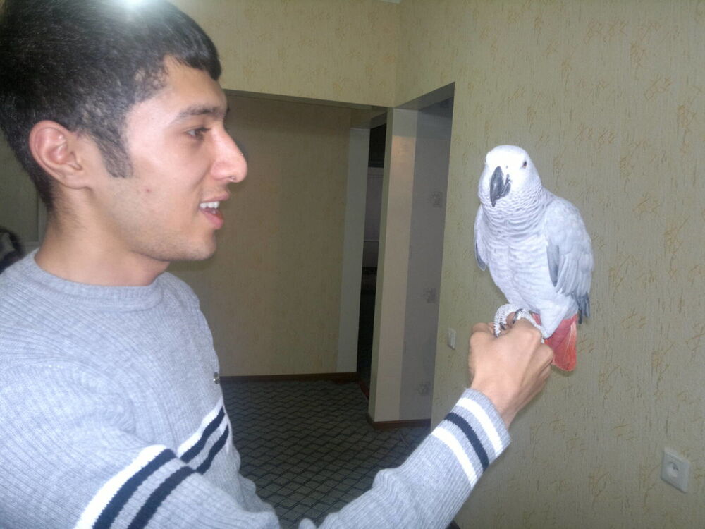 ���������� �������, ���� ������� BaXRoM, 34 ����, ������������ ��� ������