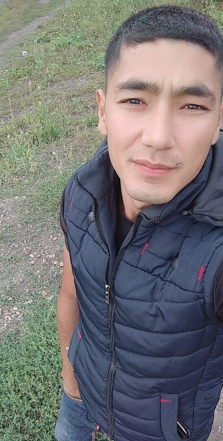  23504331  , 29 ,    