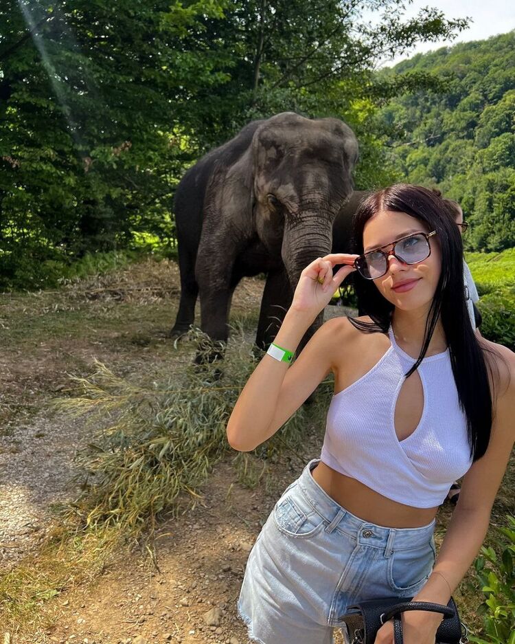 ���������� ������, ���� ������� �������, 26 ���, ������������ ��� ������, ����� � ���������