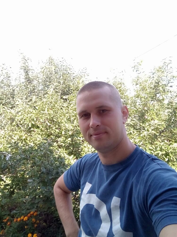  31937691  , 34 ,    