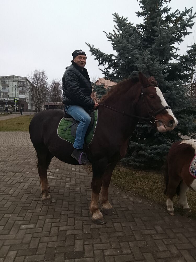 ���� 55174931 ������� �������, 49 ���, ���� ���������� � ��������