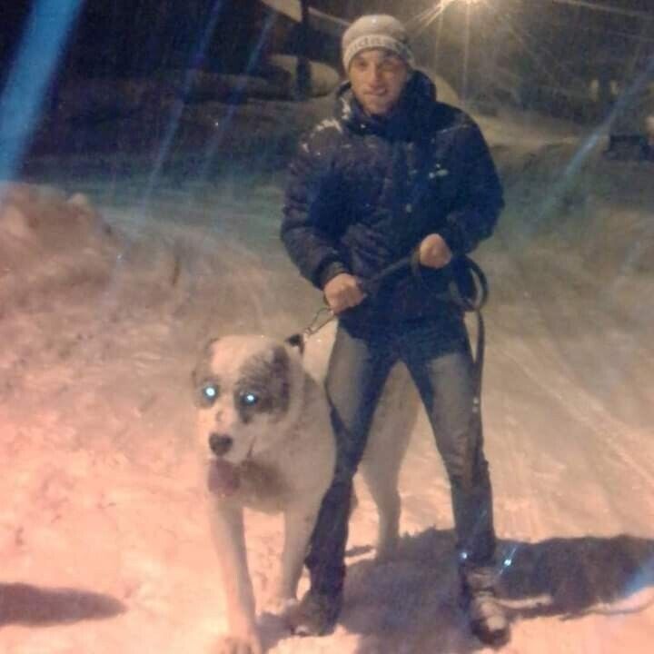 ���� 25625911 ������� ������, 26 ���, ���� ���������� � ������