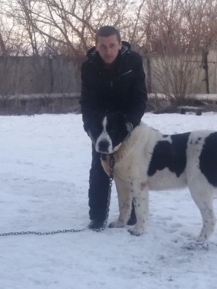 ���� 30534801 ������� ������, 41 ���, ���� ���������� � �������