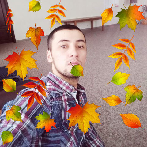 ���� 42647371 ������� GULS�OD, 32 ����, ���� ���������� � �������������