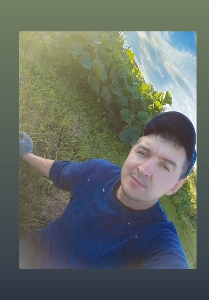  53741931  , 41 ,     
