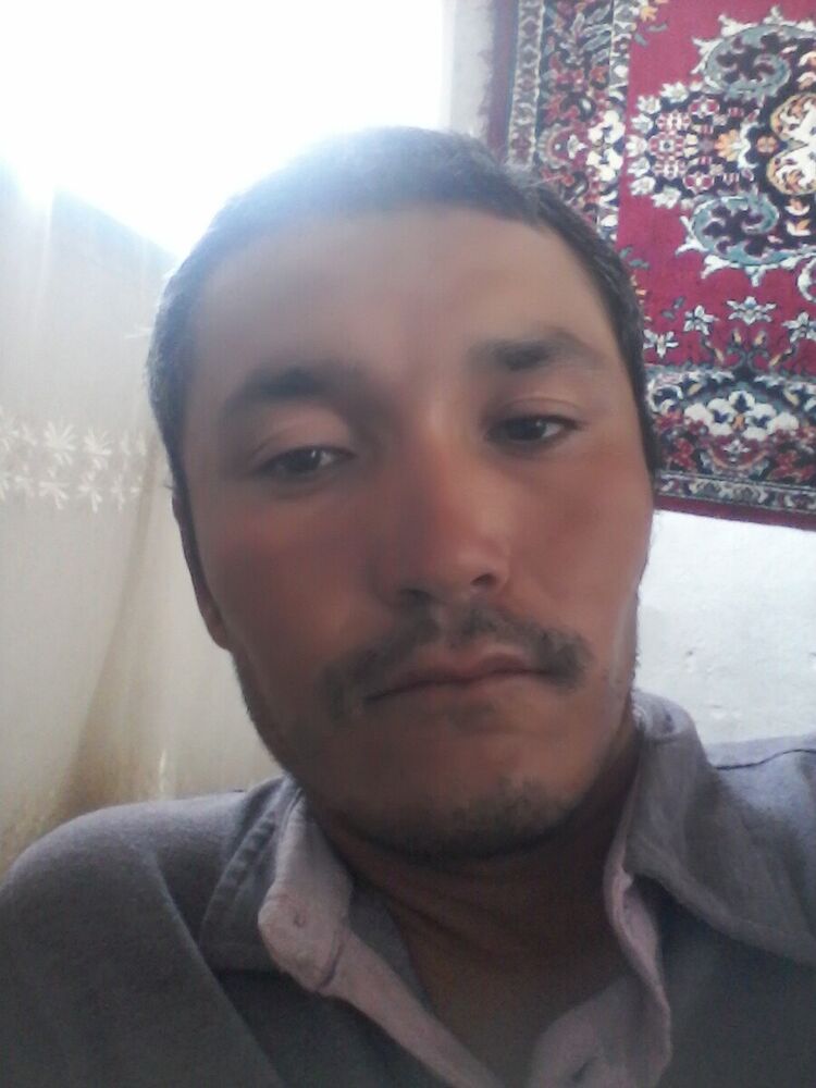  20701681  , 38 ,    