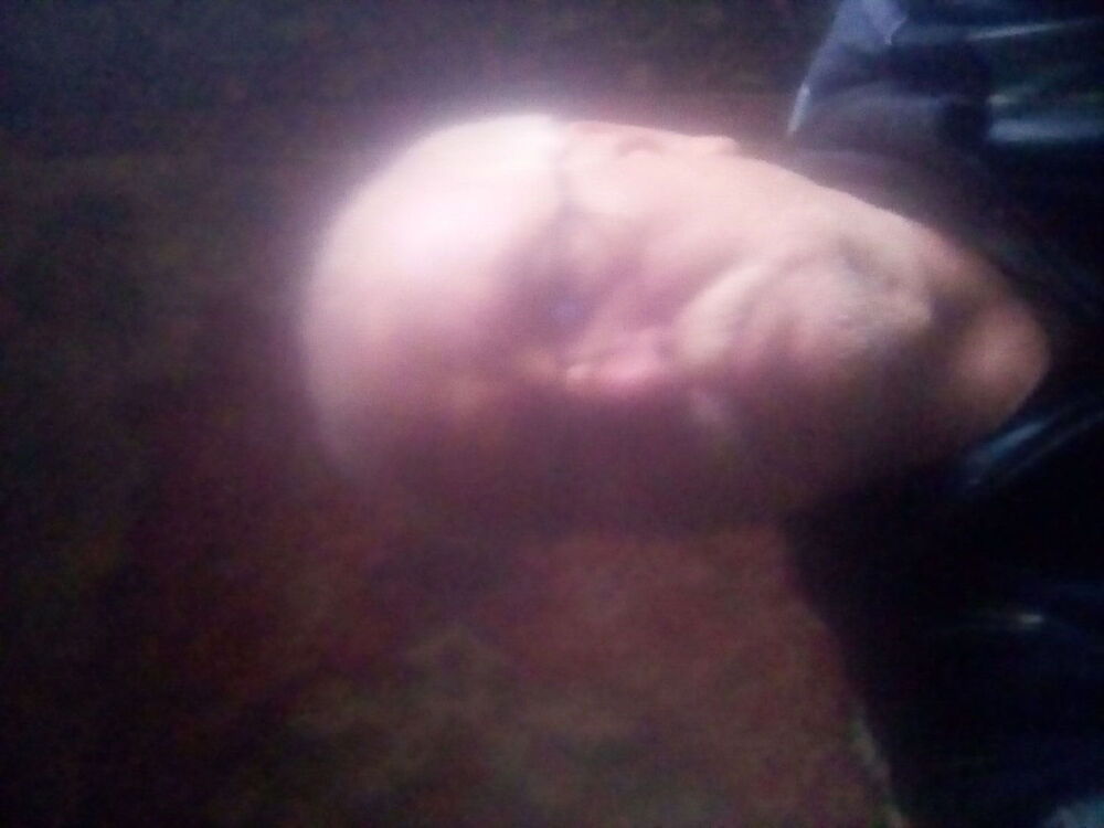  44969871  Varfolomey, 58 ,    