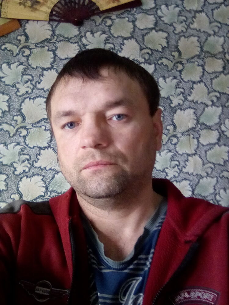  24904101  , 41 ,    