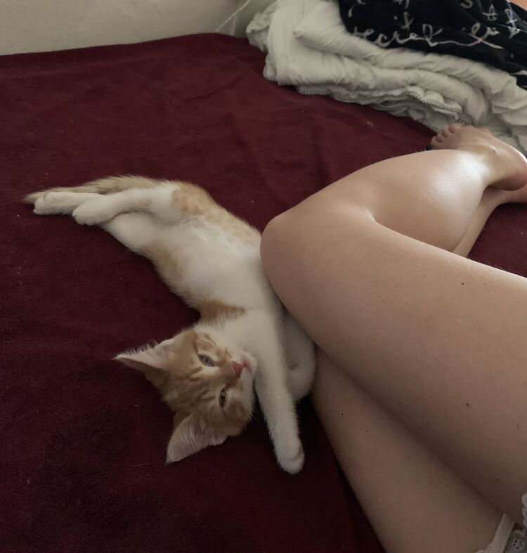 ���������� ������, ���� ������� �����, 37 ���, ������������ ��� ������, ����� � ���������, c�������� ���������