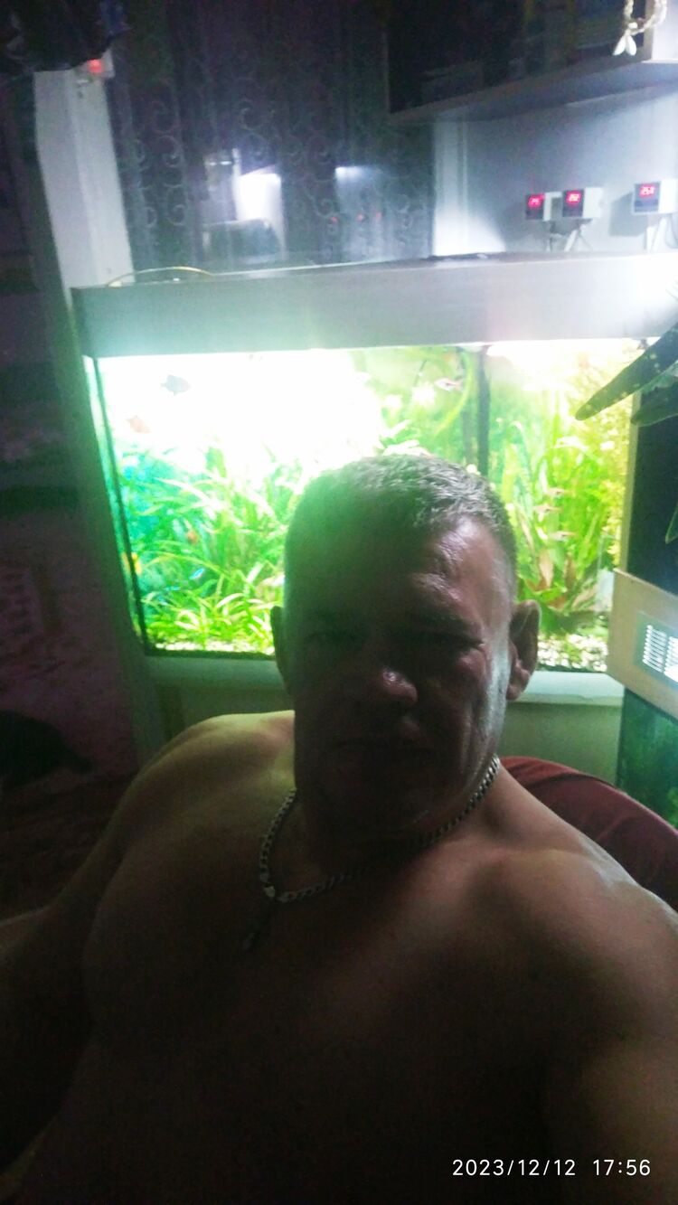 ���������� ����, ���� ������� ������, 44 ����, ������������ ��� ������, ����� � ���������