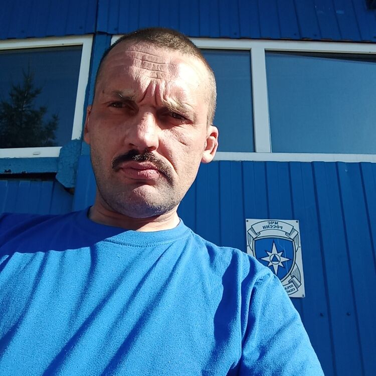  48101631  , 40 ,    