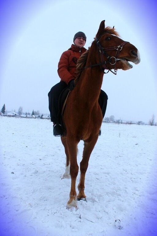 ���������� ������, ���� ������� ����������, 34 ����, ������������ ��� ������, ����� � ���������, c�������� ���������