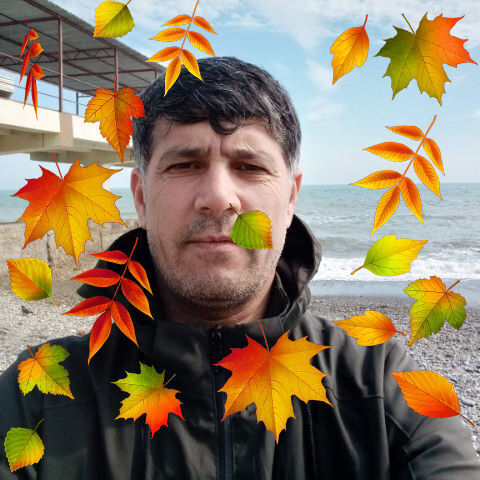 ���� 23827491 ������� ������, 49 ���, ���� ���������� � ��������