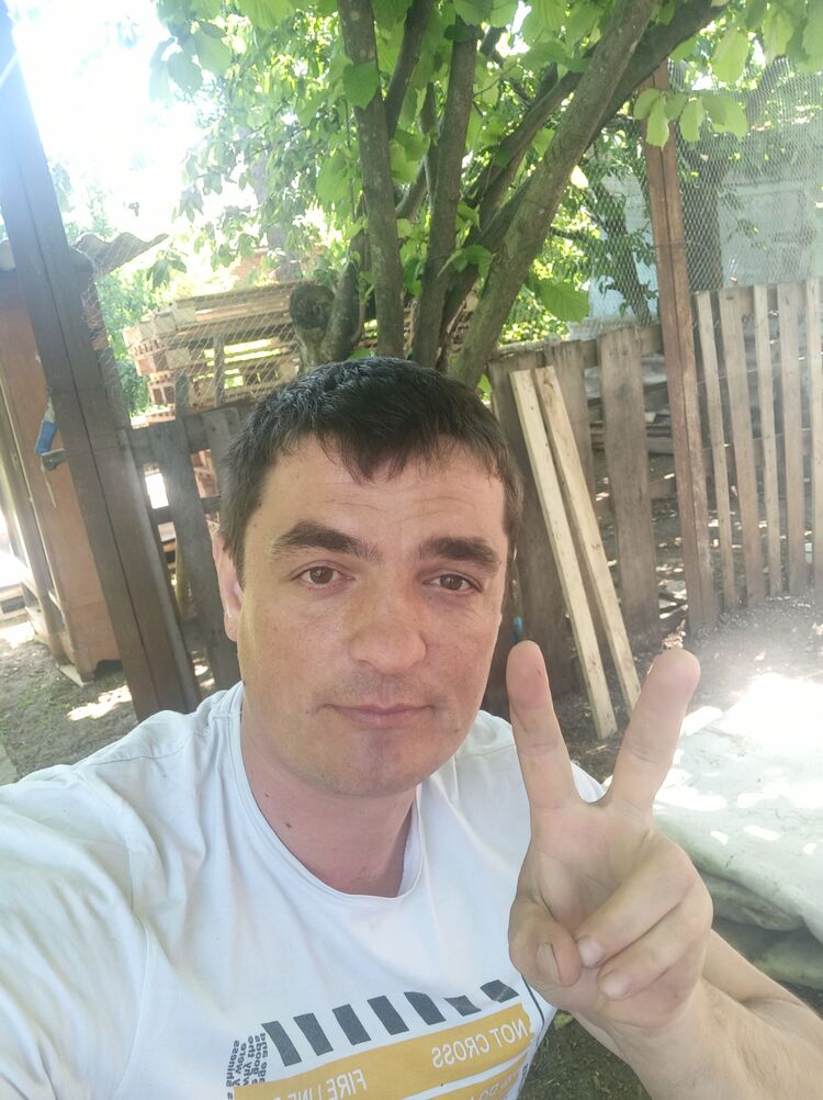  33999331  , 37 ,    